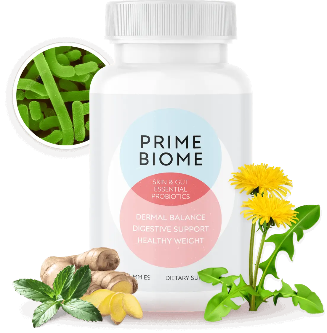 PrimeBiome Supplement PrimeBiome Supplement